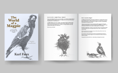 The World of a Magpie